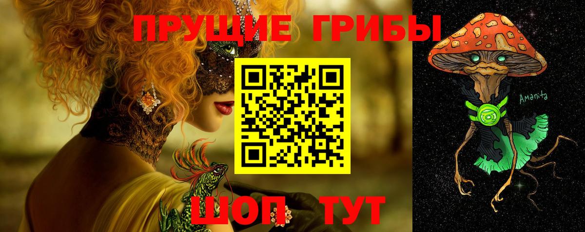 Галлюциногенные грибы GOLDEN TEACHER  Вход с VPN  Тимашёвск  Псилоцибиновые грибы Cubensis 